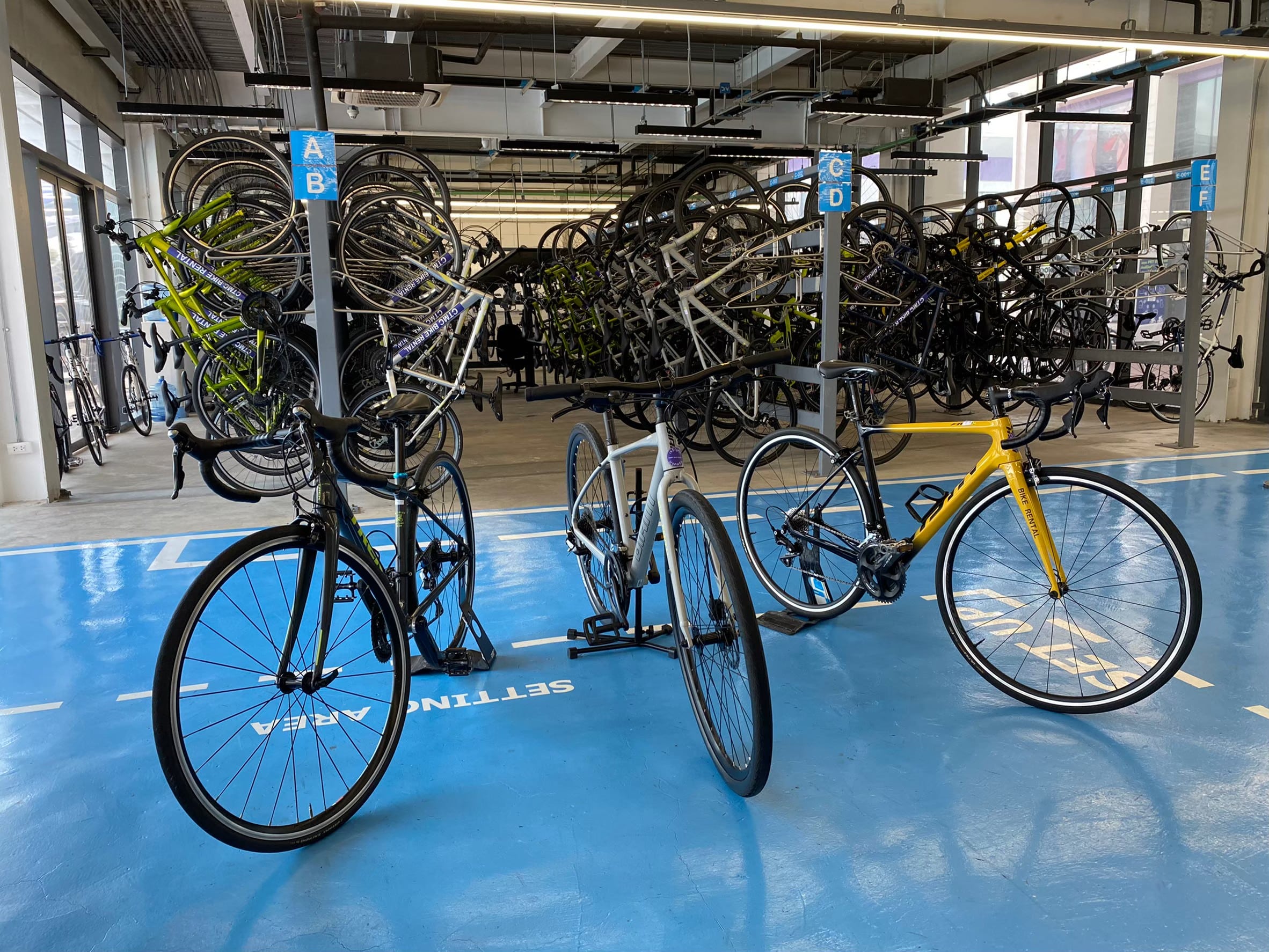 Bike Rental HHBL
